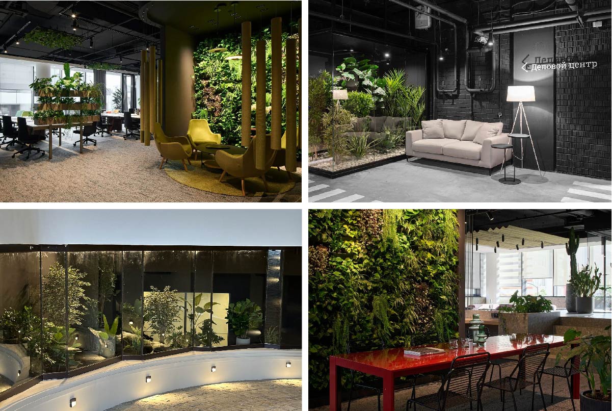 Театр цветов, интерьерное озеленение