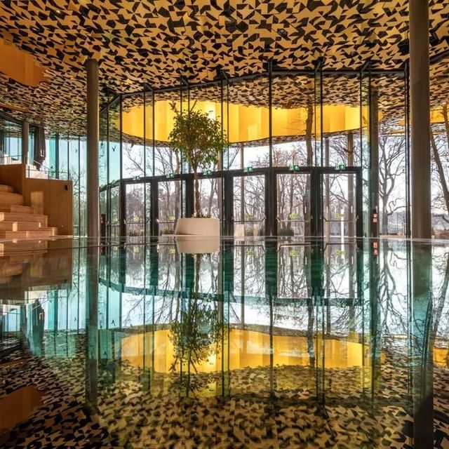 274121140_689786122435425_5880944254833783915_n.jpg 274121140_689786122435425_5880944254833783915_n.jpg