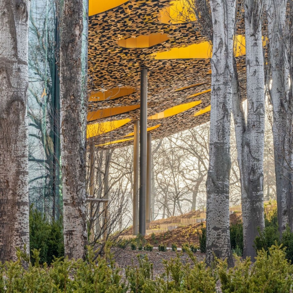 274087670_4805416736172453_2704714941340407661_n.jpg 274087670_4805416736172453_2704714941340407661_n.jpg