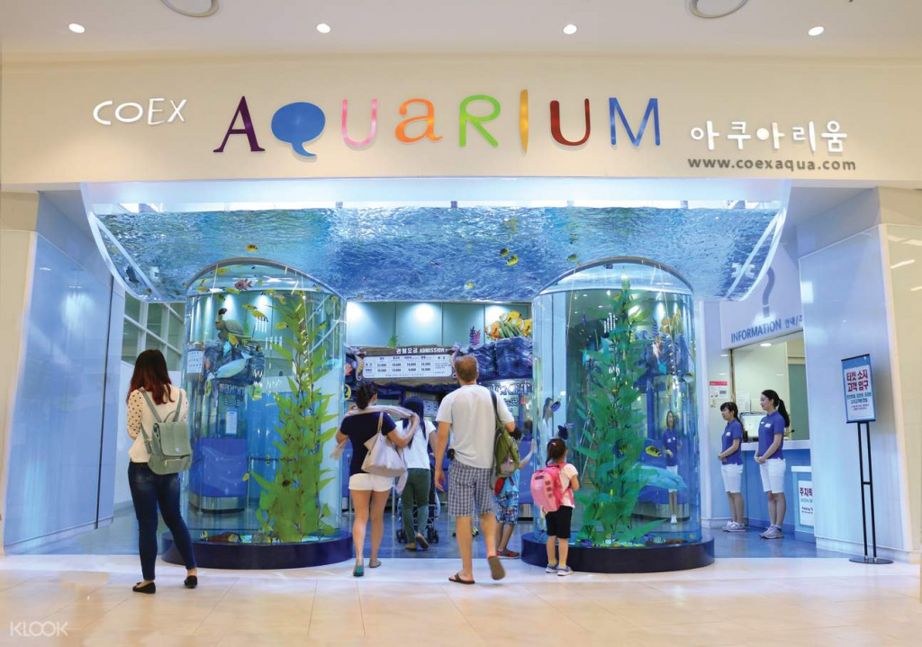 БилетнапосещениеокеанариумаCoexAquariumвСеуле.jpg